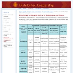 Distributed Leadership Matrix of dimensions and inputs