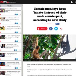 Female monkeys have 'innate distrust' of their male counterpart, according to new study