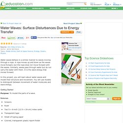 Water Waves: Surface Disturbances Due to Energy Transfer