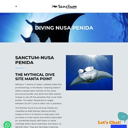 Best Dive Center Nusa Penida