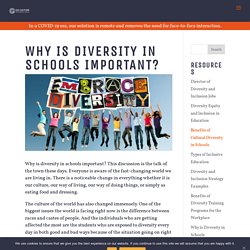 Why is Diversity in Schools Important? - Go Culture International