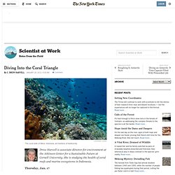 Diving Into the Coral Triangle