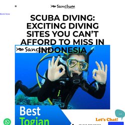 Scuba Diving: Exciting Diving Sites You Can’t Afford to Miss in Indonesia