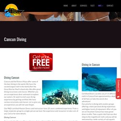 Diving in Cancun