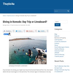 Diving in Komodo: Day Trip or Liveaboard?