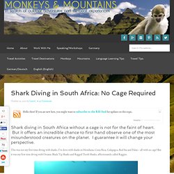 Shark Diving in South Africa: No Cage Required