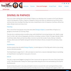 Plan Your Diving In Paphos With Pissouri Bay Divers