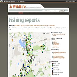 Division of Wildlife Resources