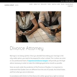 Top Divorce Lawyers in Montreal - Sheri M Spunt Avocats
