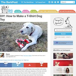 DIY: How to Make a T-Shirt Dog Toy