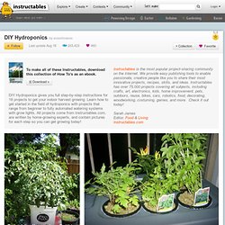 DIY Hydroponics: Free PDF