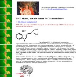 DMT, Moses, and the Quest for Transcendence