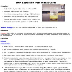 DNA Extraction from Wheat Germ