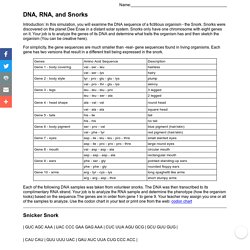 DNA, RNA, and Snorks