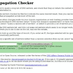 DNS Propagation Checker