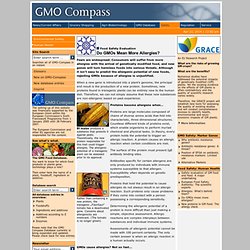 Do GMOs mean more allergies?