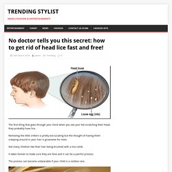 No doctor tells you this secret: how to get rid of head lice fast and free! – Trending Stylist