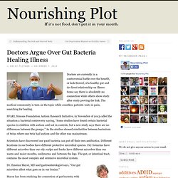 Doctors Argue Over Gut Bacteria Healing Illness
