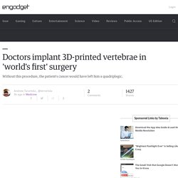 Doctors implant 3D-printed vertebrae in 'world's first' surgery