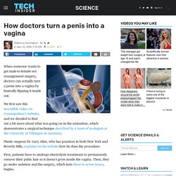 How do doctors turn a penis into a vagina?