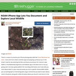 NOAH iPhone App Lets You Document and Explore Local Wildlife