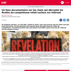 Un faux documentaire sur les chats qui décrypte les ficelles du complotisme refait surface sur internet