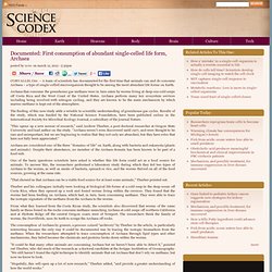 Scientists document first consumption of abundant life form, Archaea