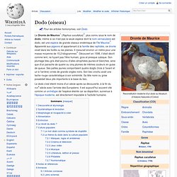 Dodo (oiseau)