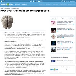 How does the brain create sequences?