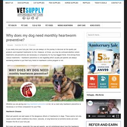 Why does dogs need heartworm preventive?