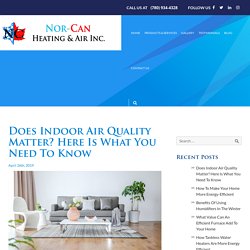 Does Indoor Air Quality Matter? Here Is What You Need To Know