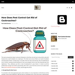How Does Pest Control Get Rid of Cockroaches?