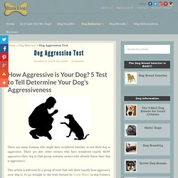 5 Test to Tell Determine Your Dog's Aggressiveness