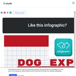 Dog experts In Australia