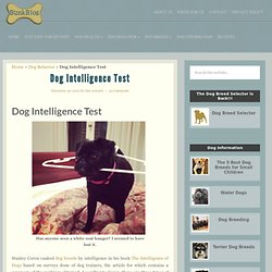 Dog Intelligence Test