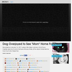 Dog Overjoyed to See "Mom" Home From War Video