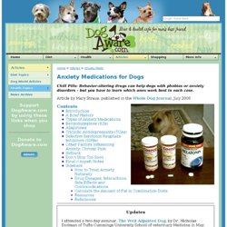 Anxiety Medications for Dogs