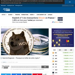 Hack de Dogecoin - Pourquoi se méfier de cette crypto ?