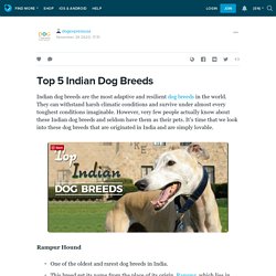 Top 5 Indian Dog Breeds : dogexpressusa — LiveJournal