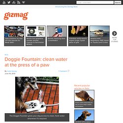 Doggie Fountain: clean water at the press of a paw