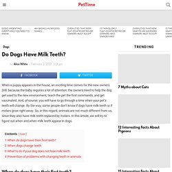 Do Dogs Have Milk Teeth? - PetTime
