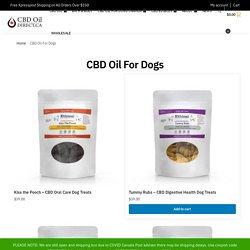 CBD Oil For Dogs - Lab Tested Pet Safe Product - CBD Oil Direct