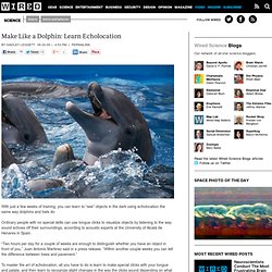 Make Like a Dolphin: Learn Echolocation