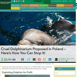 Cruel Dolphinarium Proposed in Poland – Here’s How You Can Stop It!