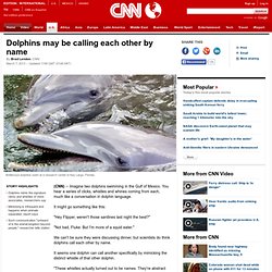 Dolphins may be calling each other by name