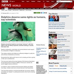 Dolphins deserve same rights as humans, say scientists