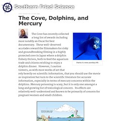 The Cove, Dolphins, and Mercury