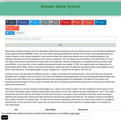 Domain Name Server records