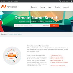 Domain Name Search Results