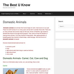 Domestic Animals: Camel, Cat, Cow & Dog- TheBestUknow.com